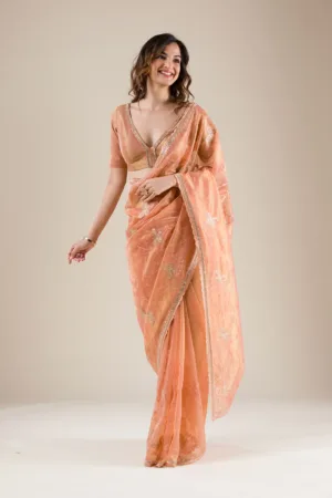 Onion Pink Zariwork Tissue Saree