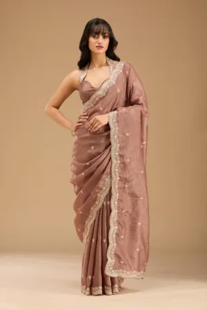 Brown Gold Zariwork Tissue Saree
